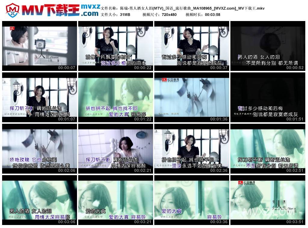 陈瑞-男人酒女人泪(MTV)_国语_流行歌曲_MA108965